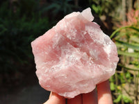 Natural Pink Rose Quartz Cobbed Specimens x 12 From North Cape, South Africa - Toprock Gemstones and Minerals 