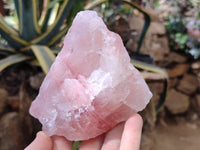 Natural Pink Rose Quartz Cobbed Specimens x 12 From North Cape, South Africa - Toprock Gemstones and Minerals 