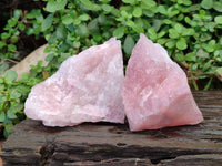 Natural Pink Rose Quartz Cobbed Specimens x 12 From North Cape, South Africa - Toprock Gemstones and Minerals 