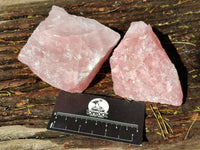 Natural Pink Rose Quartz Cobbed Specimens x 12 From North Cape, South Africa - Toprock Gemstones and Minerals 