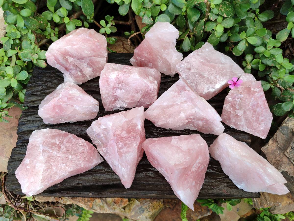 Natural Pink Rose Quartz Cobbed Specimens x 12 From North Cape, South Africa - Toprock Gemstones and Minerals 