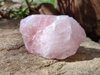 Natural Pink Rose Quartz Cobbed Specimens x 12 From North Cape, South Africa - Toprock Gemstones and Minerals 