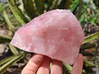 Natural Pink Rose Quartz Cobbed Specimens x 12 From North Cape, South Africa - Toprock Gemstones and Minerals 