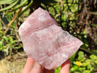 Natural Pink Rose Quartz Cobbed Specimens x 12 From North Cape, South Africa - Toprock Gemstones and Minerals 