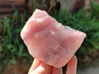Natural Pink Rose Quartz Cobbed Specimens x 12 From North Cape, South Africa - Toprock Gemstones and Minerals 