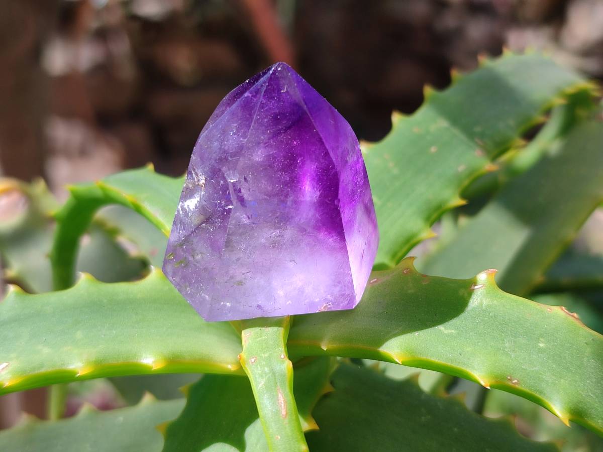 Polished Window Amethyst Crystals x 12 From Madagascar - Toprock Gemstones and Minerals 