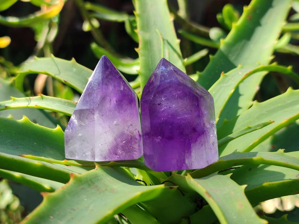 Polished Window Amethyst Crystals x 12 From Madagascar - Toprock Gemstones and Minerals 