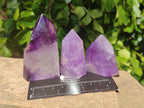 Polished Window Amethyst Crystals x 12 From Madagascar - Toprock Gemstones and Minerals 