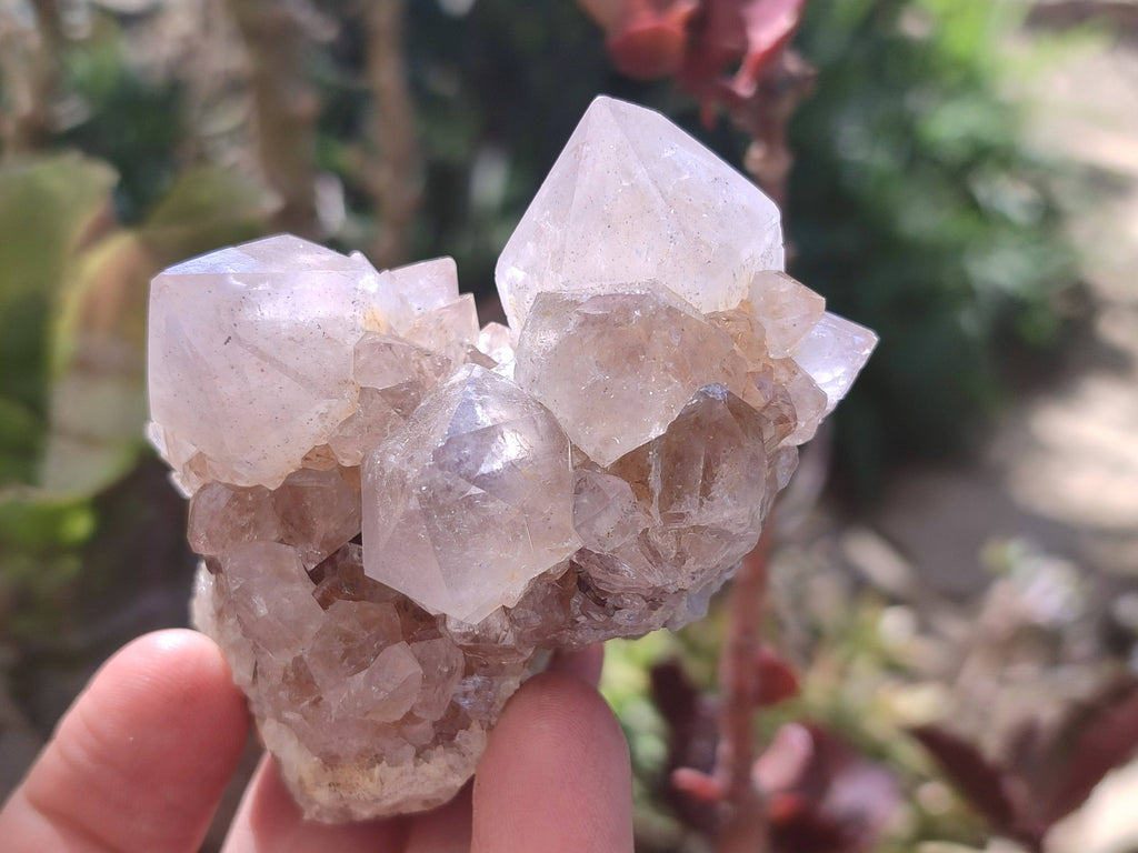 Natural Spirit Quartz Clusters x 16 From South Africa - Toprock Gemstones and Minerals 
