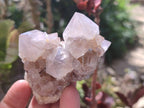 Natural Spirit Quartz Clusters x 16 From South Africa - Toprock Gemstones and Minerals 