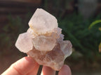 Natural Spirit Quartz Clusters x 16 From South Africa - Toprock Gemstones and Minerals 