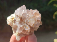 Natural Spirit Quartz Clusters x 16 From South Africa