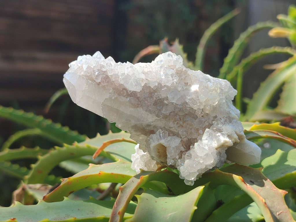 Natural Spirit Quartz Clusters x 16 From South Africa - Toprock Gemstones and Minerals 