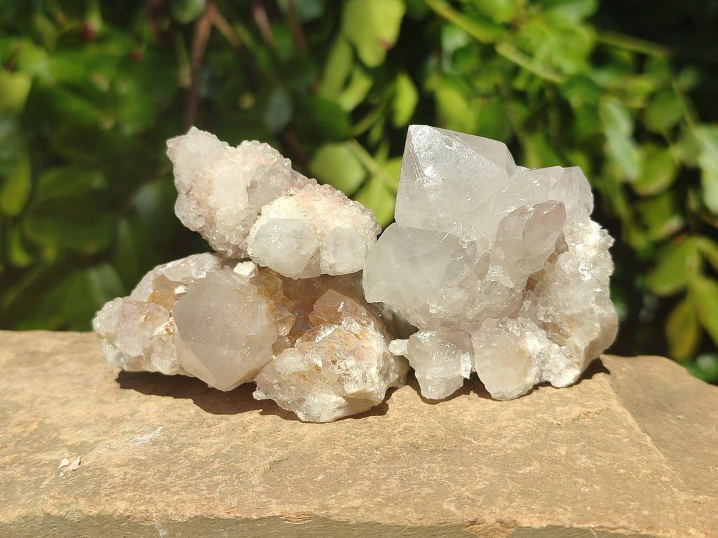 Natural Spirit Quartz Clusters x 16 From South Africa - Toprock Gemstones and Minerals 