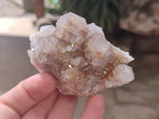 Natural Spirit Quartz Clusters x 16 From South Africa - Toprock Gemstones and Minerals 