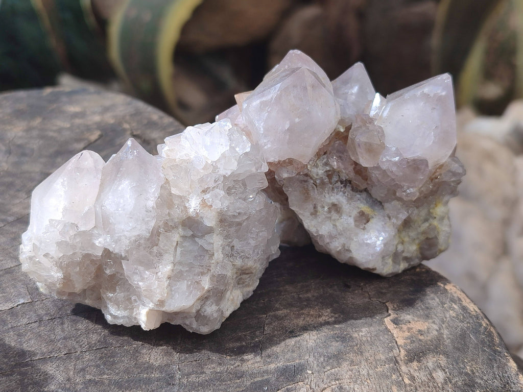 Natural Spirit Quartz Clusters x 16 From South Africa - Toprock Gemstones and Minerals 
