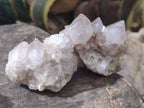 Natural Spirit Quartz Clusters x 16 From South Africa - Toprock Gemstones and Minerals 