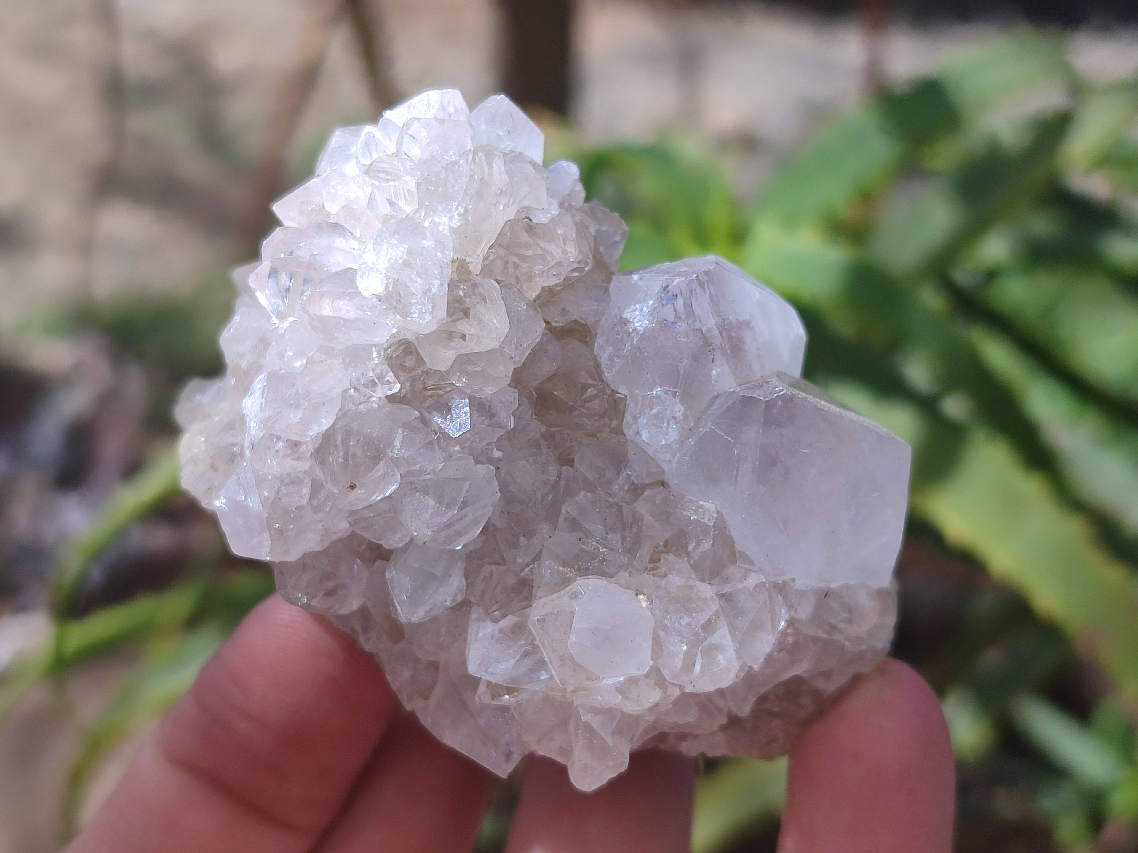 Natural Spirit Quartz Clusters x 16 From South Africa - Toprock Gemstones and Minerals 