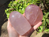 Polished Rose Quartz Standing Free Forms x 2 From Madagascar