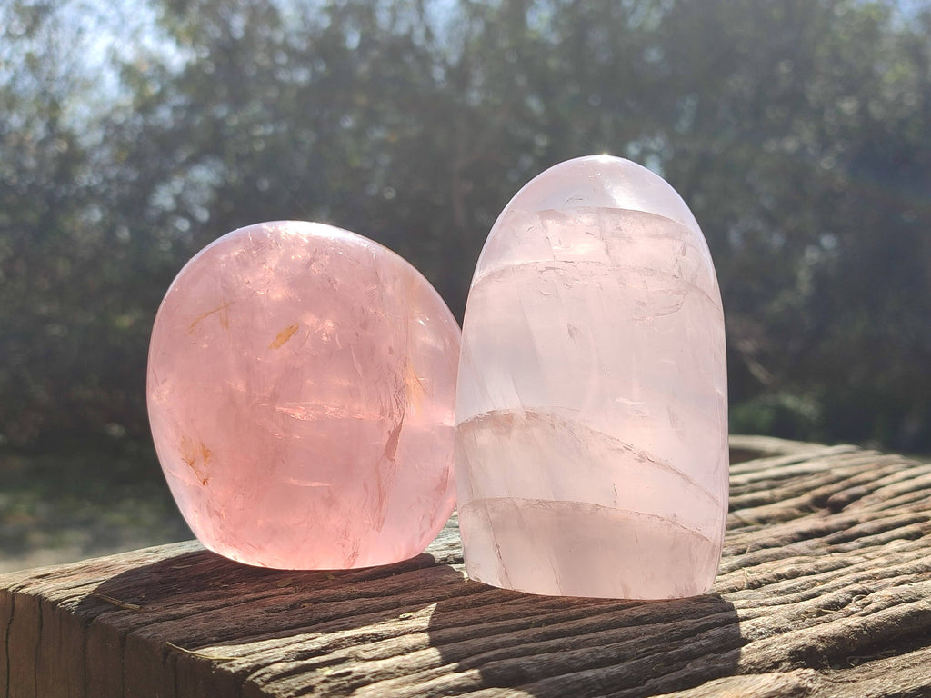 Polished Rose Quartz Standing Free Forms x 2 From Madagascar - Toprock Gemstones and Minerals 