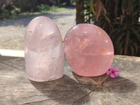 Polished Rose Quartz Standing Free Forms x 2 From Madagascar