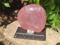 Polished Rose Quartz Standing Free Forms x 2 From Madagascar