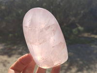 Polished Rose Quartz Standing Free Forms x 2 From Madagascar