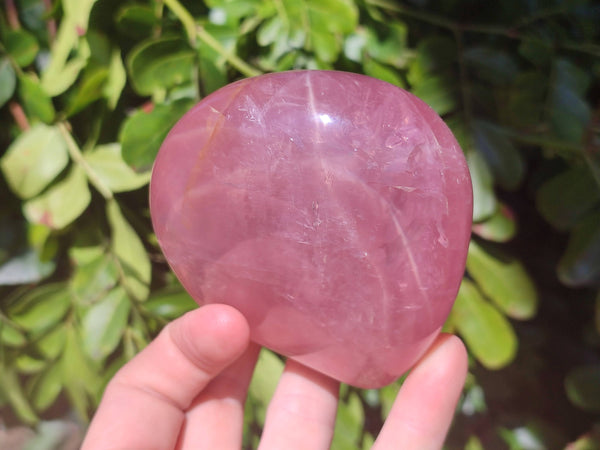 Polished Rose Quartz Standing Free Forms x 2 From Madagascar
