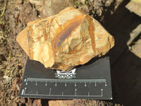 Natural Picture Stone Jasper Specimens x 12 From Ais-Ais, Namibia
