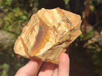 Natural Picture Stone Jasper Specimens x 12 From Ais-Ais, Namibia