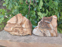 Natural Picture Stone Jasper Specimens x 12 From Ais-Ais, Namibia