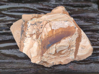 Natural Picture Stone Jasper Specimens x 12 From Ais-Ais, Namibia