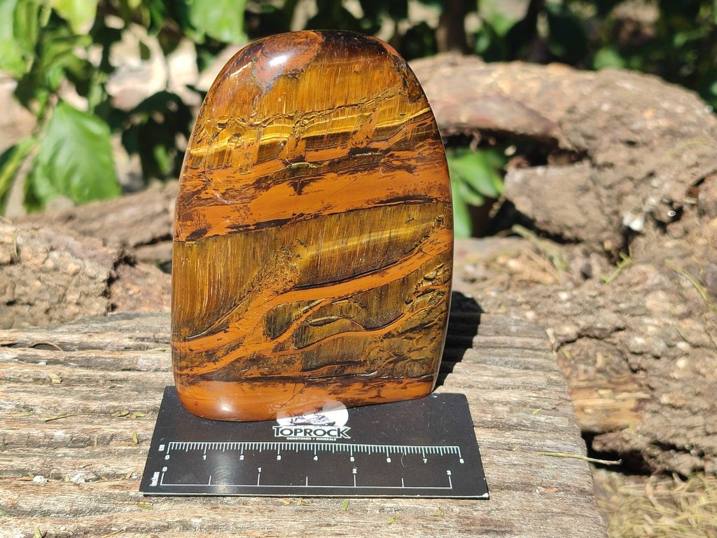 Polished Tigers Eye Standing Free Forms x 3 From South Africa - Toprock Gemstones and Minerals 