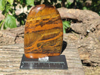 Polished Tigers Eye Standing Free Forms x 3 From South Africa - Toprock Gemstones and Minerals 