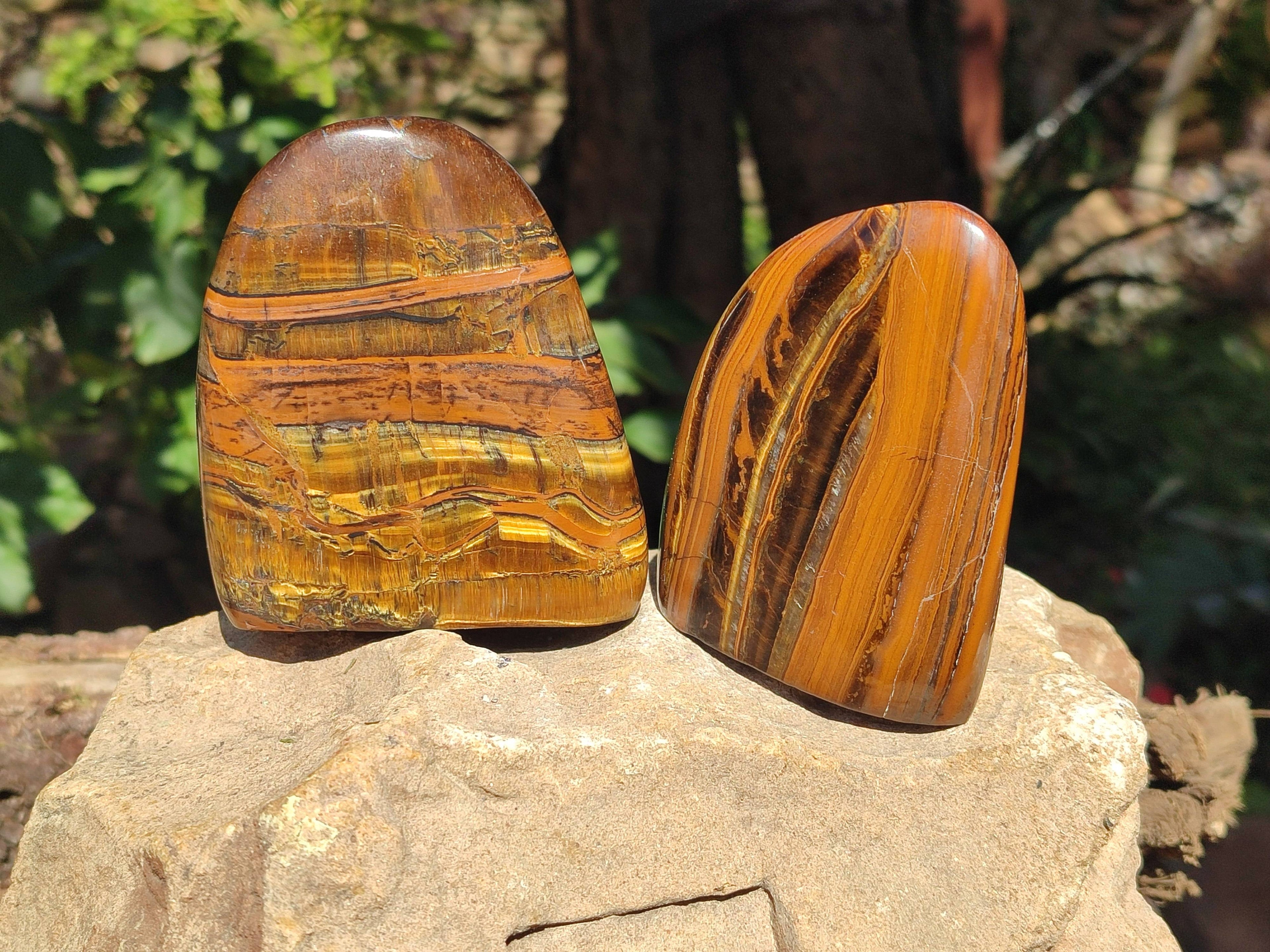 Polished Tigers Eye Standing Free Forms x 3 From South Africa - Toprock Gemstones and Minerals 