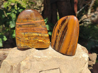 Polished Tigers Eye Standing Free Forms x 3 From South Africa