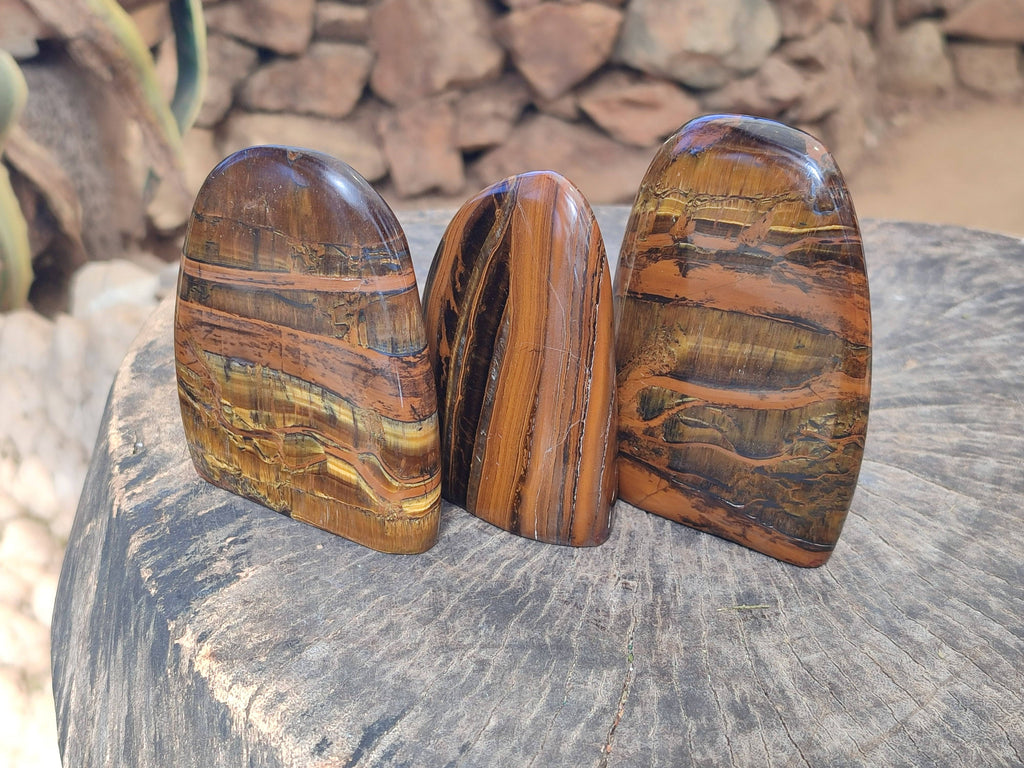Polished Tigers Eye Standing Free Forms x 3 From South Africa - Toprock Gemstones and Minerals 