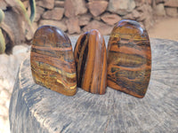 Polished Tigers Eye Standing Free Forms x 3 From South Africa