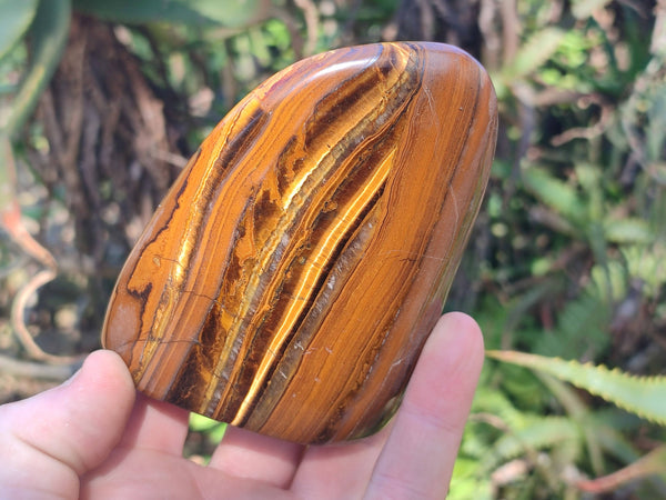 Polished Tigers Eye Standing Free Forms x 3 From South Africa