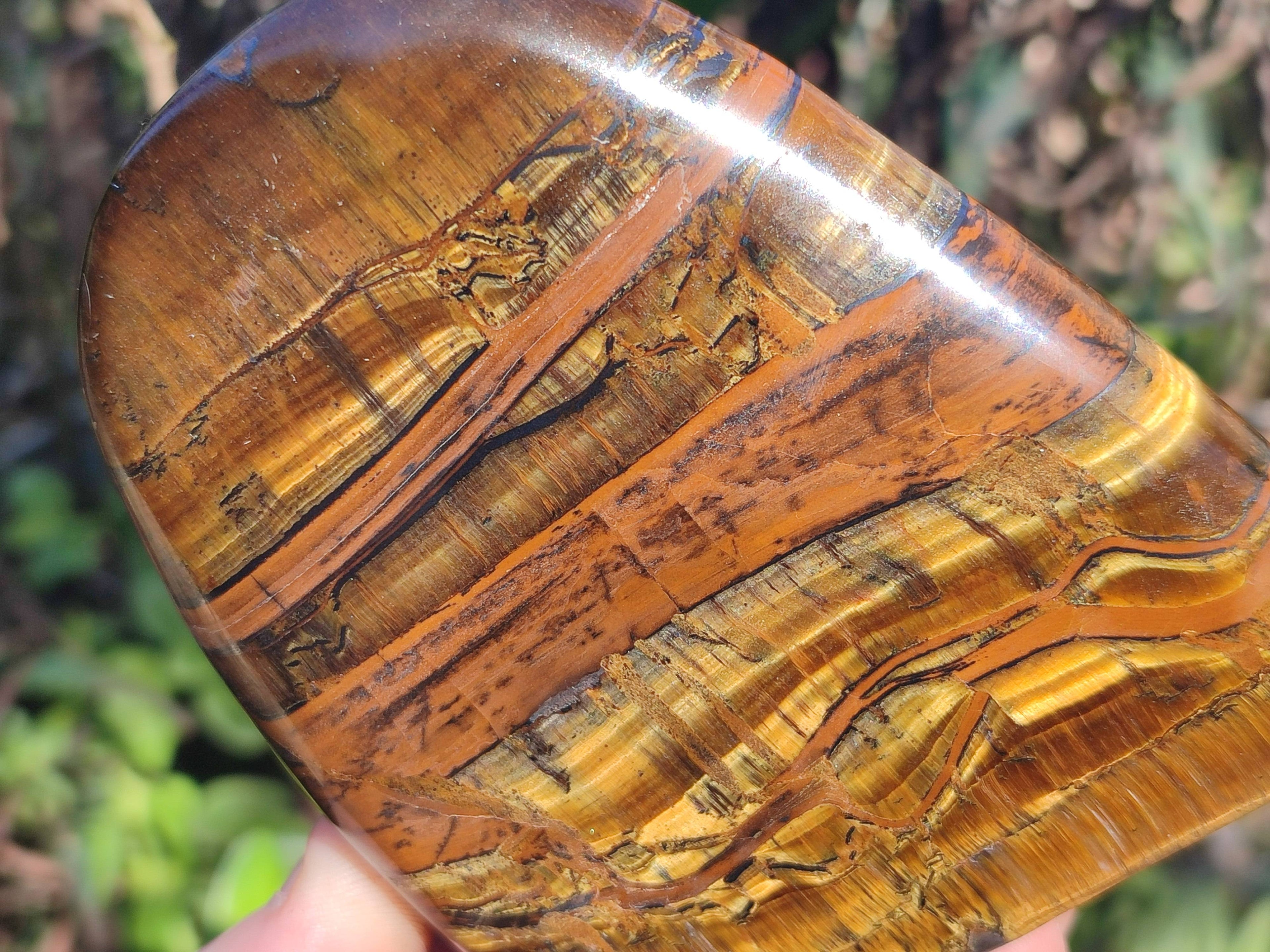 Polished Tigers Eye Standing Free Forms x 3 From South Africa - Toprock Gemstones and Minerals 