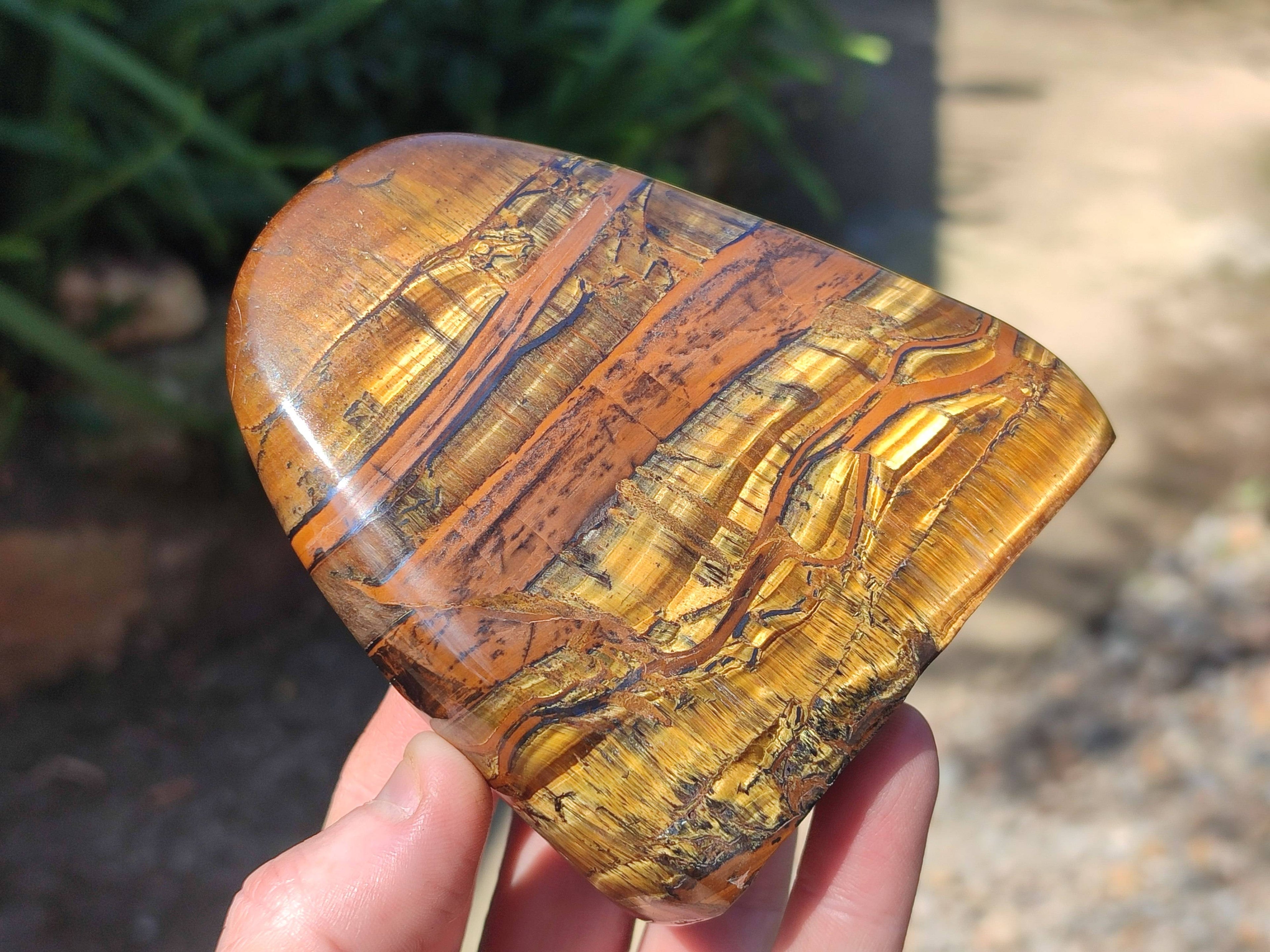 Polished Tigers Eye Standing Free Forms x 3 From South Africa - Toprock Gemstones and Minerals 