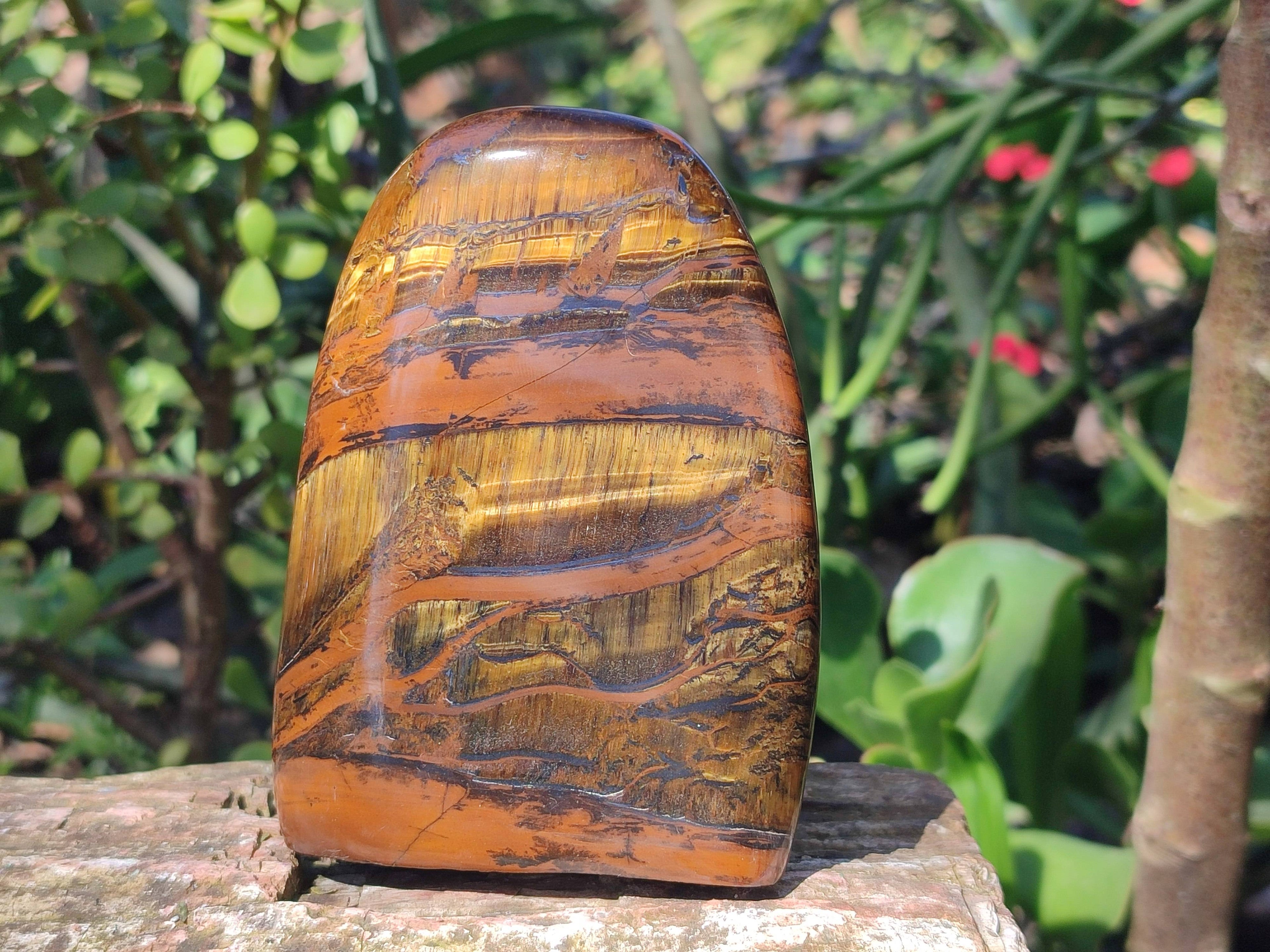 Polished Tigers Eye Standing Free Forms x 3 From South Africa - Toprock Gemstones and Minerals 