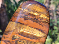 Polished Tigers Eye Standing Free Forms x 3 From South Africa