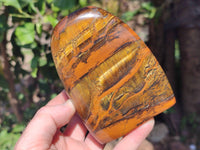 Polished Tigers Eye Standing Free Forms x 3 From South Africa