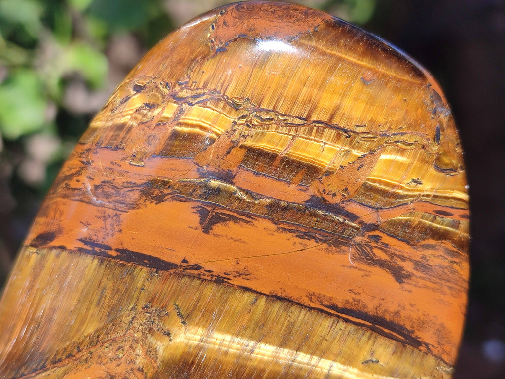 Polished Tigers Eye Standing Free Forms x 3 From South Africa - Toprock Gemstones and Minerals 
