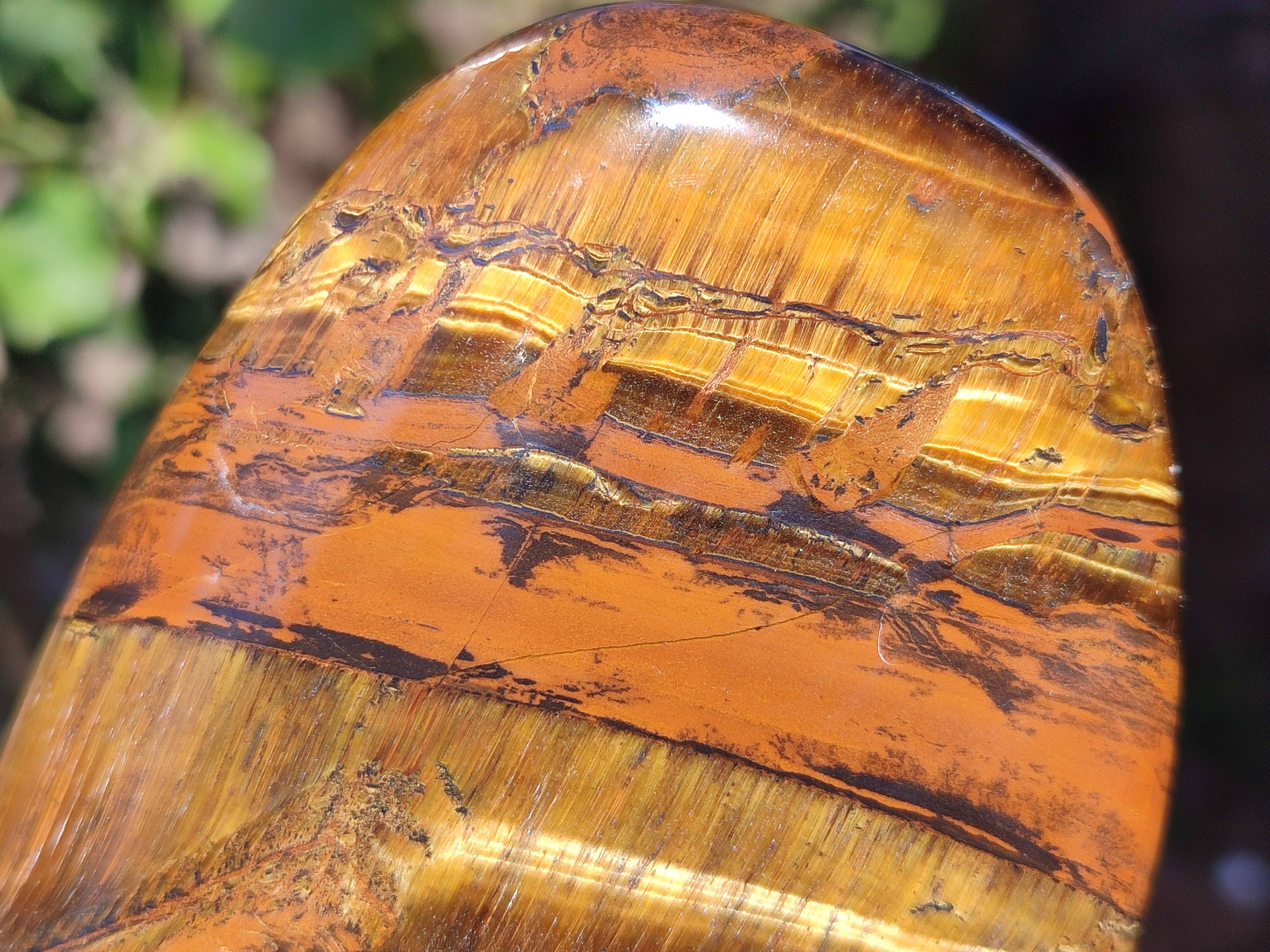 Polished Tigers Eye Standing Free Forms x 3 From South Africa - Toprock Gemstones and Minerals 