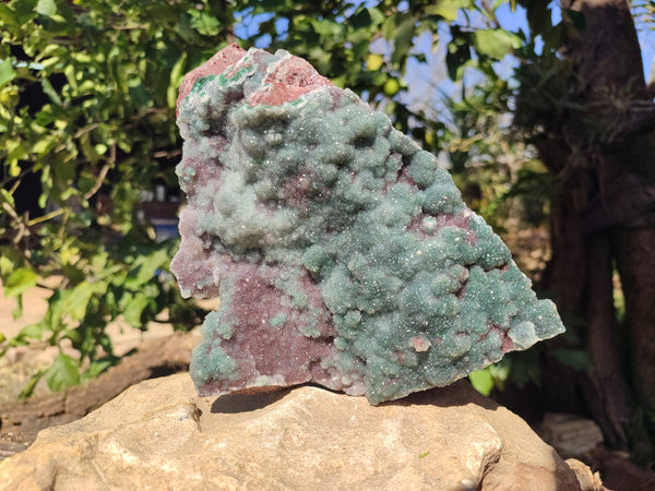 Natural Ball Malachite On Dolomite Matrix Specimen x 1 From Kambove, Congo