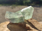 Natural Watermelon Fluorite Cobbed Specimens x 70 From Namibia - Toprock Gemstones and Minerals 