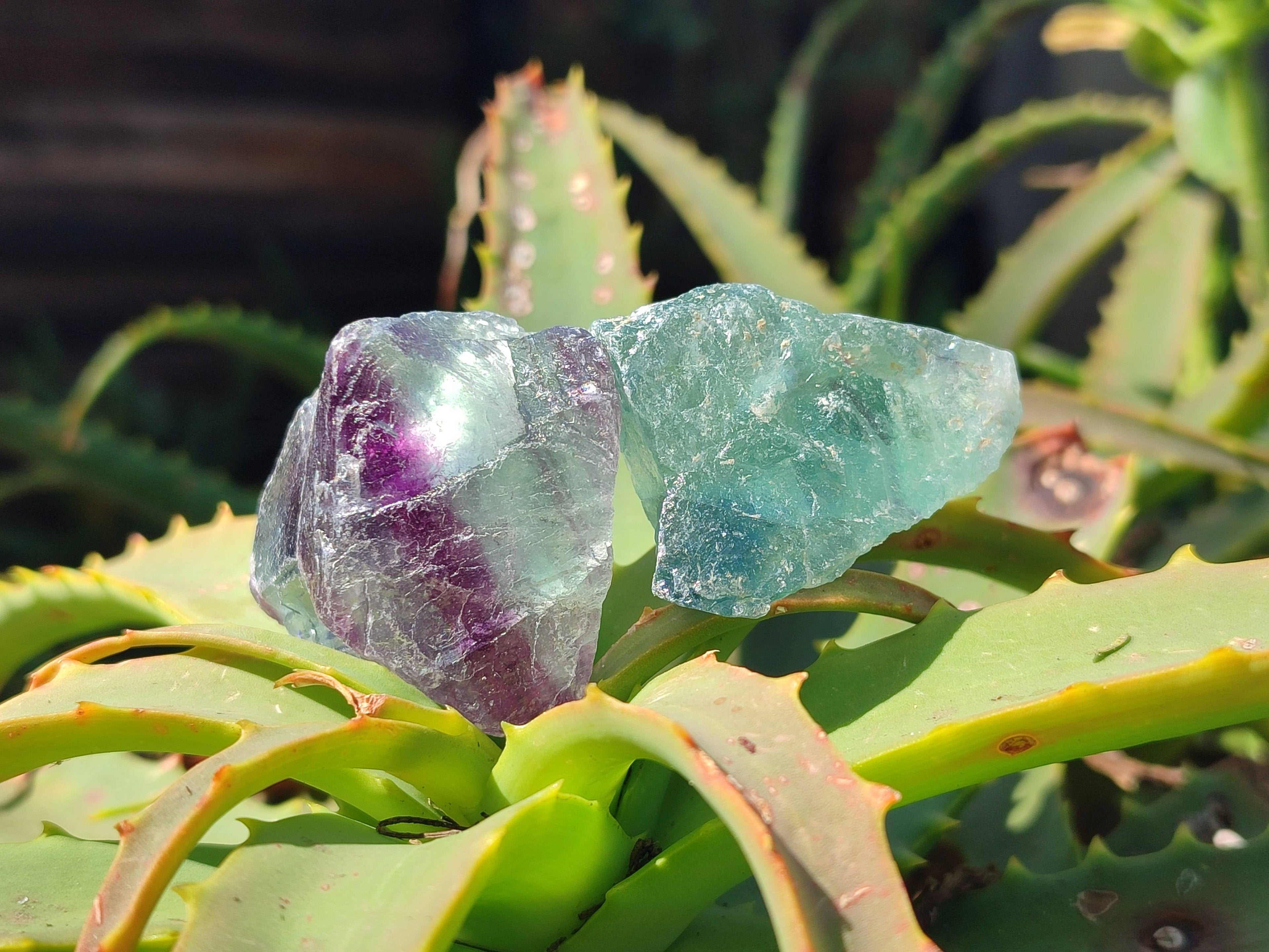 Natural Watermelon Fluorite Cobbed Specimens x 70 From Namibia - Toprock Gemstones and Minerals 