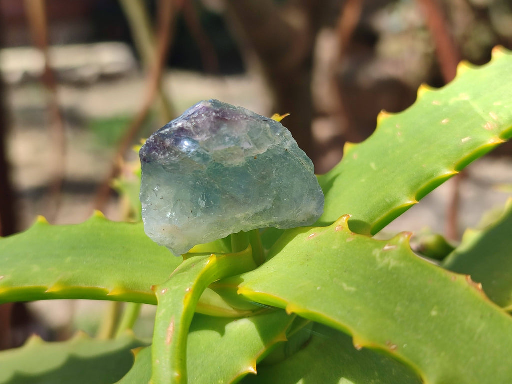 Natural Watermelon Fluorite Cobbed Specimens x 70 From Namibia - Toprock Gemstones and Minerals 